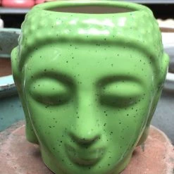 CGASPL Buddha Small Green Dotted Ceramic Pot