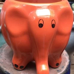 CGASPL Orange Elephant Ceramic Pot Pot-Planters