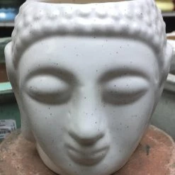 CGASPL Buddha Medium White Dotted Ceramic Pot Pot-Planters
