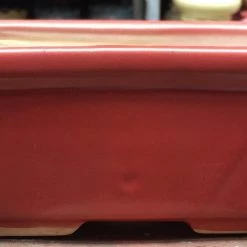 CGASPL Fancy 010 Red Ceramic Pot