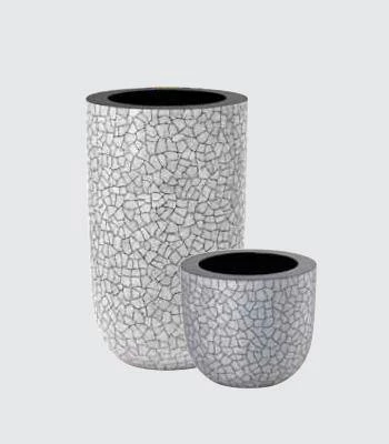 CGASPL Cracked Egg - Low/High Ball 3 CGASPL Cracked Egg - Low/High Ball