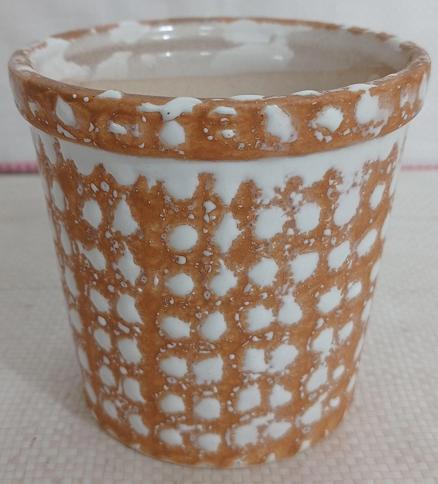 CGASPL Pot-Planters Fancy Painted Ceramic Pot White 4 CGASPL Pot-Planters Fancy Painted Ceramic Pot White