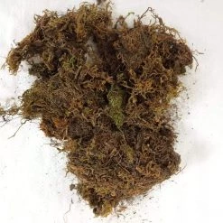 CGASPL 5 Kg Sphagnum Moss Online In India