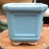 CGASPL Light Blue Square Ceramic Pot (Pack Of 3)