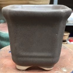 CGASPL Grey Square Ceramic Pot (Pack Of 3)