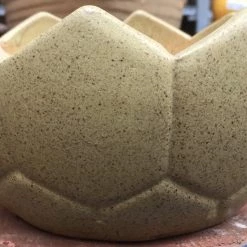 CGASPL Ceramic Pot Cream Green Pot-Planters