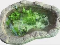 CGASPL Elliptical Pond 100 Liters