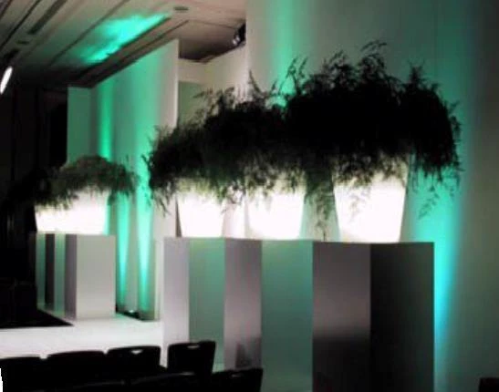 CGASPL Illuminated Planters 400mm(dia) X 400mm(Ht) 3 CGASPL Illuminated Planters 400mm(dia) X 400mm(Ht)