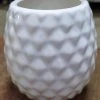 CGASPL Pot-Planters Pineapple Shape Ceramic Pot White