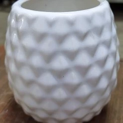 CGASPL Pot-Planters Pineapple Shape Ceramic Pot White