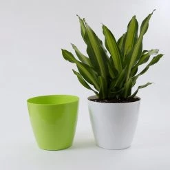 CGASPL 11 Inch Green Singapore Pot (280mm) Pot-Planters 13 CGASPL 11 Inch Green Singapore Pot (280mm) Pot-Planters