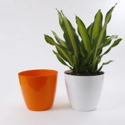 CGASPL 11 Inch Orange Singapore Pot (280mm)