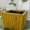 CGASPL Crocus Square Fiber Planter Pot-Planters