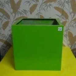 CGASPL Hibiscus Square Fiber Planter