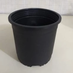 CGASPL Round Pots 6" Flower Pot Black Colour Sunrise Series (14.5 Cm)