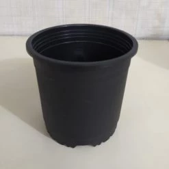 CGASPL 6" Flower Pot Black Colour Sunrise Series (14.5 Cm) ( Pack Of 12)