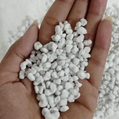 CGASPL Plant Food 10 Kg Horticulture Grade Perlite Potting Medium