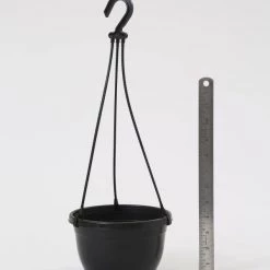 CGASPL Pot-Planters 7 Inch Hanging Pot Black 10 CGASPL Pot-Planters 7 Inch Hanging Pot Black