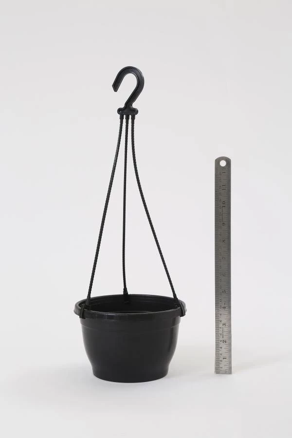 CGASPL Pot-Planters 7 Inch Hanging Pot Black 5 CGASPL Pot-Planters 7 Inch Hanging Pot Black