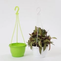 CGASPL 7 Inch Hanging Pot Green