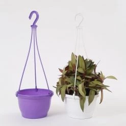 CGASPL 7 Inch Hanging Pot Violet Pot-Planters