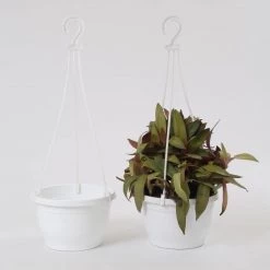 CGASPL 7 Inch Hanging Pot White Pot-Planters