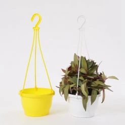 CGASPL 7 Inch Hanging Pot Yellow Pot-Planters
