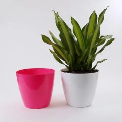 CGASPL Pot-Planters 13 Inch Pink Singapore Pot (330mm)