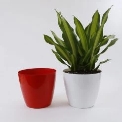 CGASPL Pot-Planters 13 Inch Red Singapore Pot (330mm)