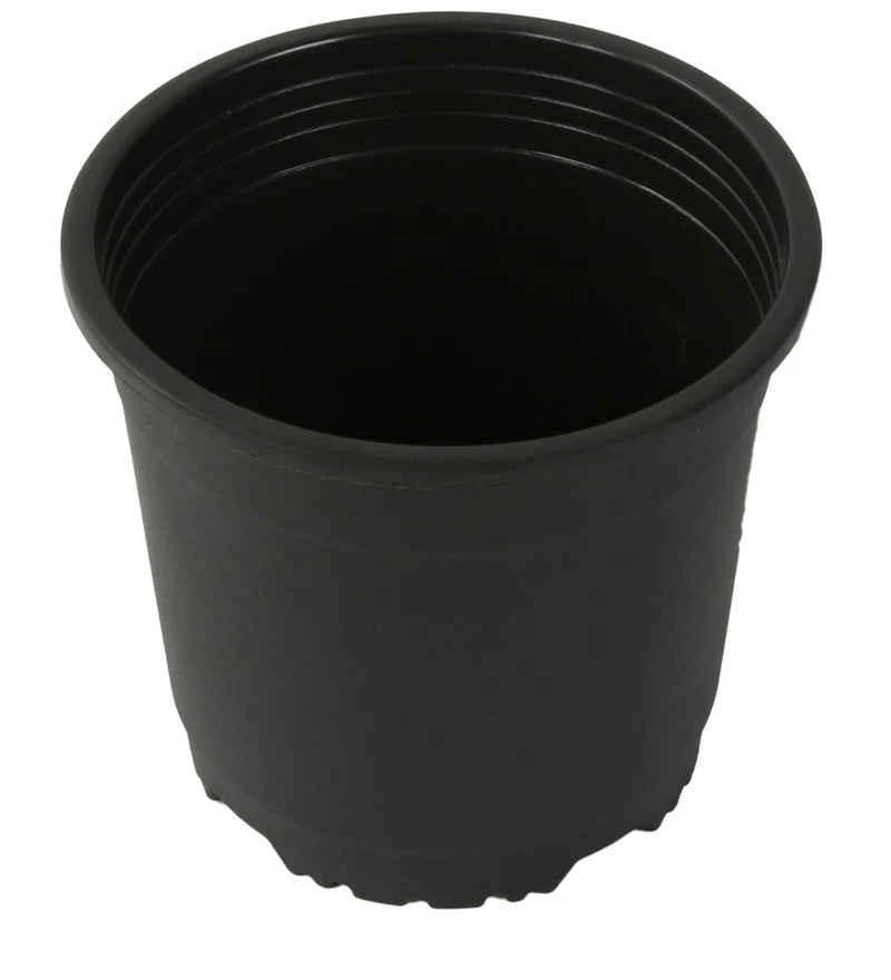 CGASPL Round Pots 6" Flower Pot Black Colour Sunrise Series (14.5 Cm) 6 CGASPL Round Pots 6" Flower Pot Black Colour Sunrise Series (14.5 Cm)