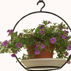 CGASPL Hanging Ring(Set Of 6 Rings) Pot-Planters