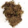 CGASPL 5 Kg Sphagnum Moss Online In India