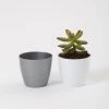 CGASPL 2.5 Inch Gray Singapore Pot (67mm) Pot-Planters