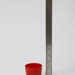 CGASPL 2.5 Inch Red Singapore Pot (67mm) Pot-Planters