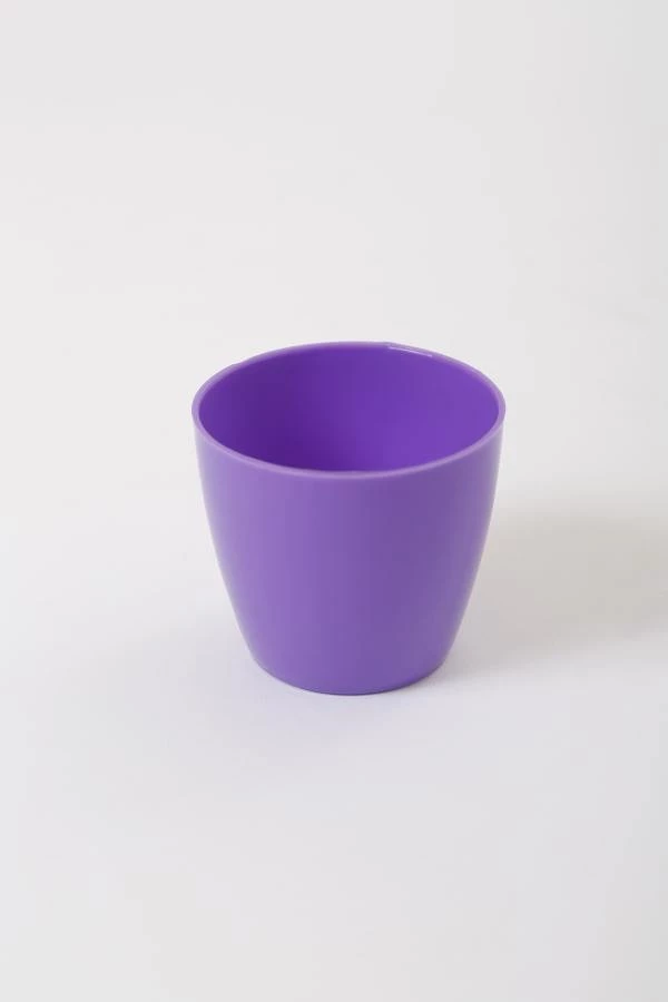 CGASPL 2.5 Inch Violet Singapore Pot (67mm) 5 CGASPL 2.5 Inch Violet Singapore Pot (67mm)