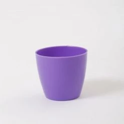 CGASPL 2.5 Inch Violet Singapore Pot (67mm)
