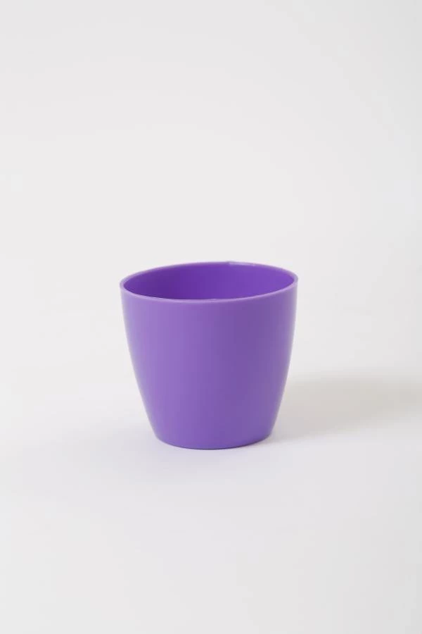 CGASPL 2.5 Inch Violet Singapore Pot (67mm) 4 CGASPL 2.5 Inch Violet Singapore Pot (67mm)