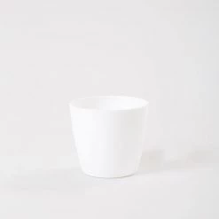 CGASPL 2.5 Inch White Singapore Pot (67mm) Pot-Planters