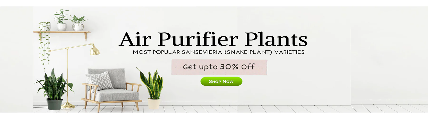 ChhajedGarden Shop 15 ChhajedGarden Shop -ChhajedGarden Shop 2