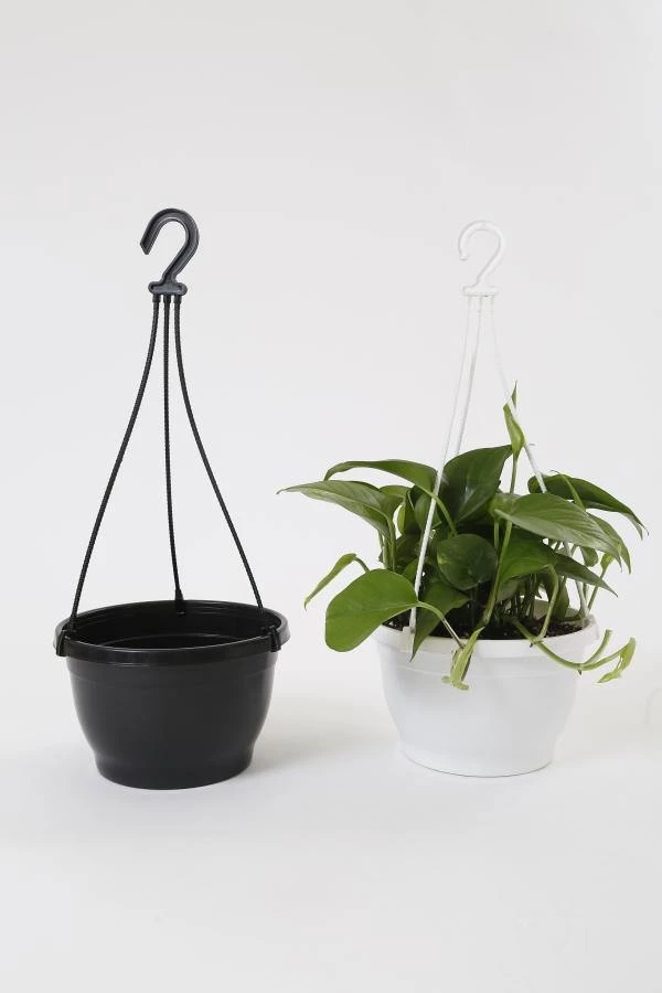 CGASPL Pot-Planters 8 Inch Hanging Pot Black 6 CGASPL Pot-Planters 8 Inch Hanging Pot Black