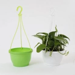 CGASPL 8 Inch Hanging Pot Green 11 CGASPL 8 Inch Hanging Pot Green