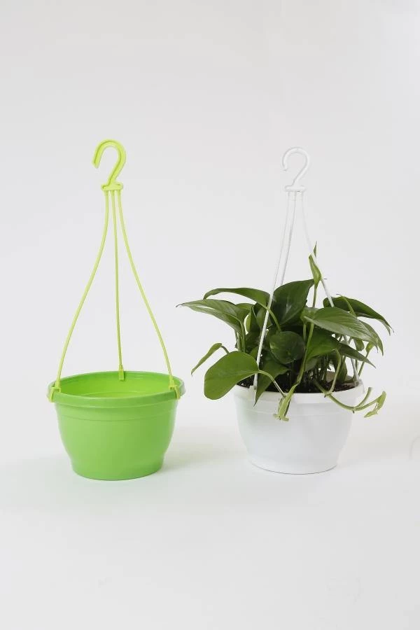 CGASPL 8 Inch Hanging Pot Green 6 CGASPL 8 Inch Hanging Pot Green