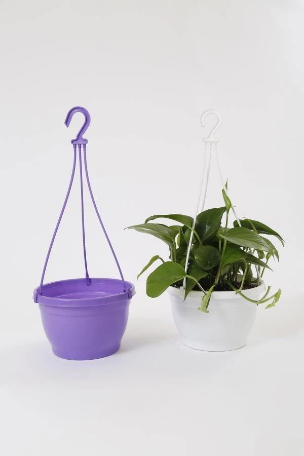CGASPL 8 Inch Hanging Pot Violet 6 CGASPL 8 Inch Hanging Pot Violet
