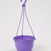CGASPL 8 Inch Hanging Pot Violet 2 CGASPL 8 Inch Hanging Pot Violet