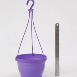 CGASPL 8 Inch Hanging Pot Violet 10 CGASPL 8 Inch Hanging Pot Violet