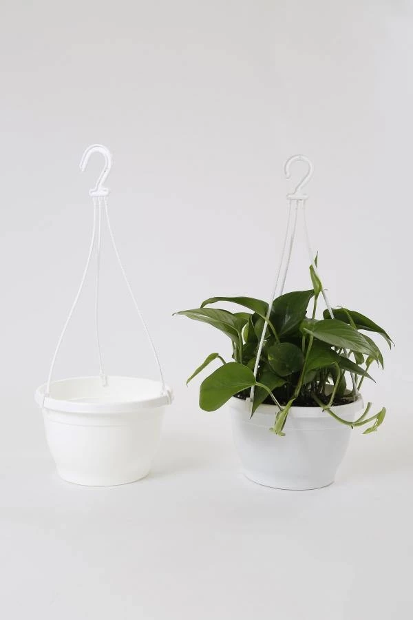 CGASPL 8 Inch Hanging Pot White 6 CGASPL 8 Inch Hanging Pot White