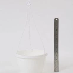 CGASPL 8 Inch Hanging Pot White 10 CGASPL 8 Inch Hanging Pot White