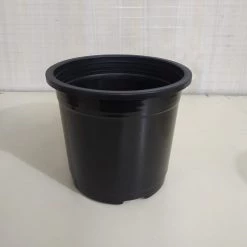 CGASPL Round Pots 8" Flower Pot Black Colour Sunrise Series (19.5 Cm)