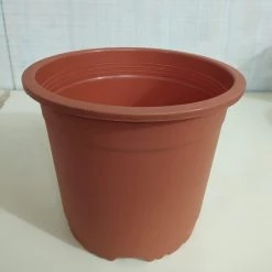 CGASPL Pot-Planters 9" Flower Pot Terracotta Colour Sunrise Series (22 Cm)( Pack Of 6)