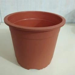 CGASPL 9" Flower Pot Terracotta Colour Sunrise Series (22 Cm)( Pack Of 12) Pot-Planters